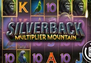 Silverback Multiplier Mountain